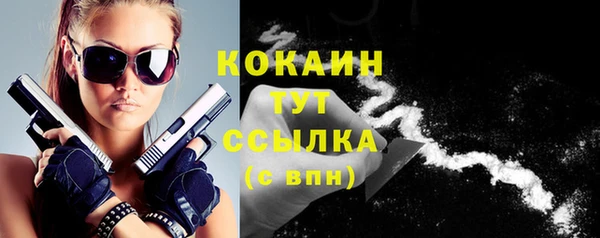 гидра Вяземский