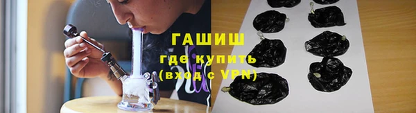 гидра Вяземский