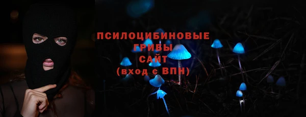 гидра Вяземский