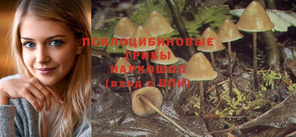ALPHA-PVP Вязники