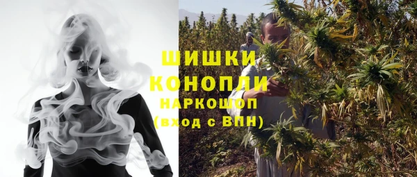 гидра Вяземский