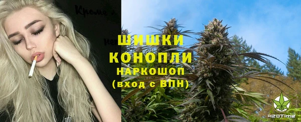 гидра Вяземский
