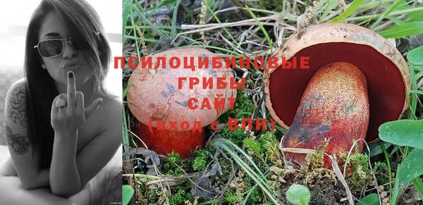 ALPHA-PVP Вязники