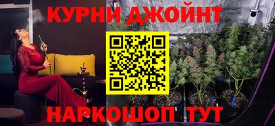 apvp Бийск
