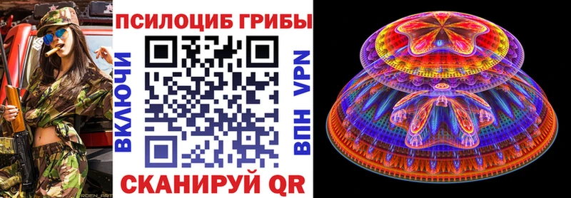 цены   Егорьевск  ОМГ ОМГ ссылки  Псилоцибиновые грибы мухоморы 