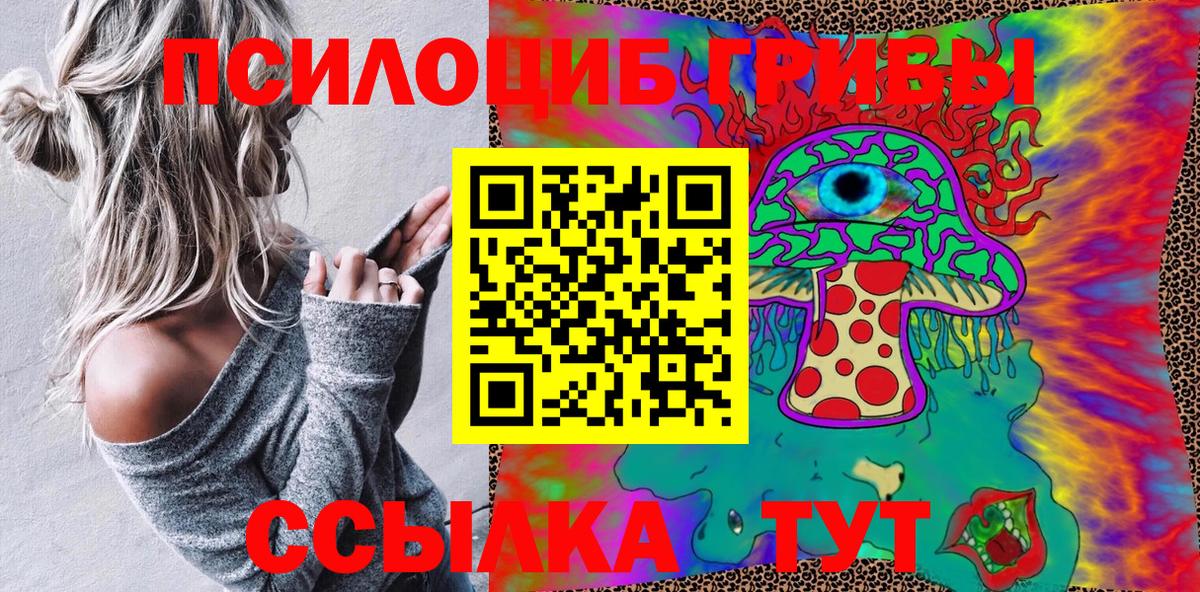 Егорьевск  Псилоцибиновые грибы прущие грибы  купить наркотик  Вход с VPN 