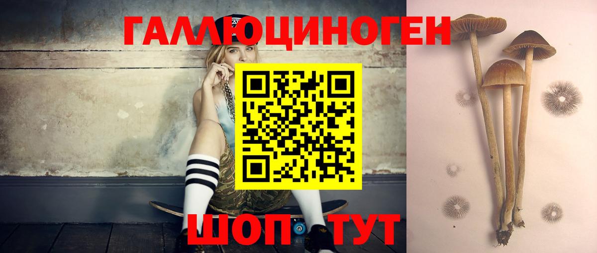 Галлюциногенные грибы ЛСД  Егорьевск  Псилоцибиновые грибы GOLDEN TEACHER 