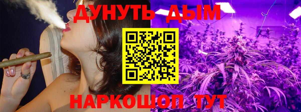 Канабис сатива Егорьевск